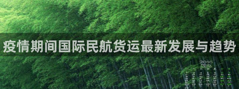 尊龙凯时官网网址：疫情期间国际民航货运最新发展与趋势