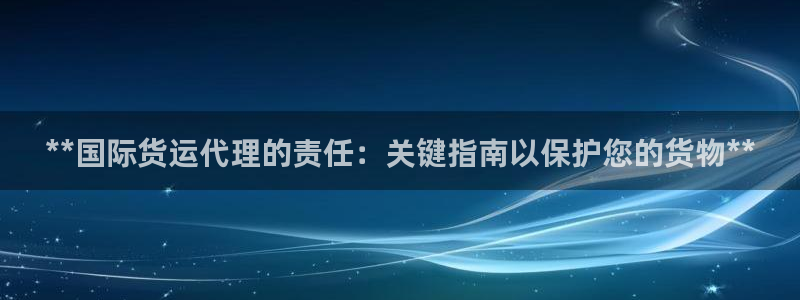 尊龙官网在哪里：**国际货运代理的责任：关键指南以保护您