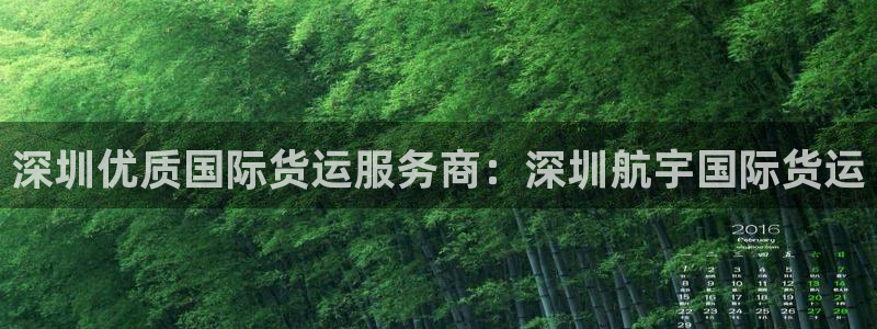 尊龙人生就是博菲律宾台子：深圳优质国际货运服务商：深圳航