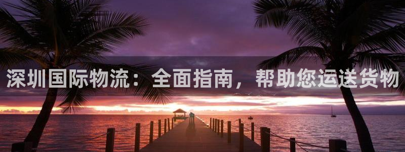 尊龙ag旗舰官网：深圳国际物流：全面指南，帮助您运送货物