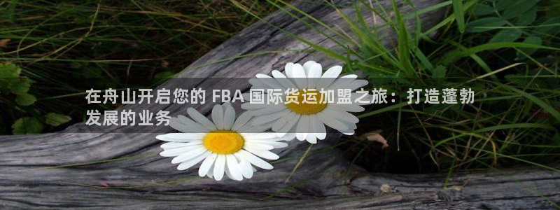 尊龙凯时平台官网：在舟山开启您的 FBA 国际货运加盟之