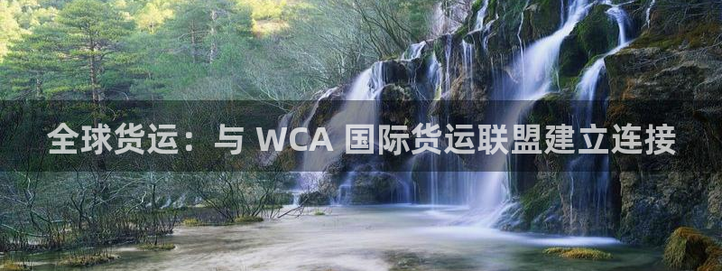 尊龙AG旗舰店：全球货运：与 WCA 国际货运联盟建立连