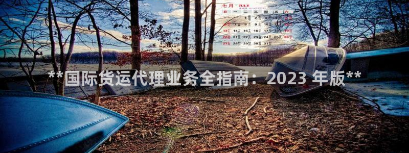 尊龙凯时充值不到账：**国际货运代理业务全指南：2023