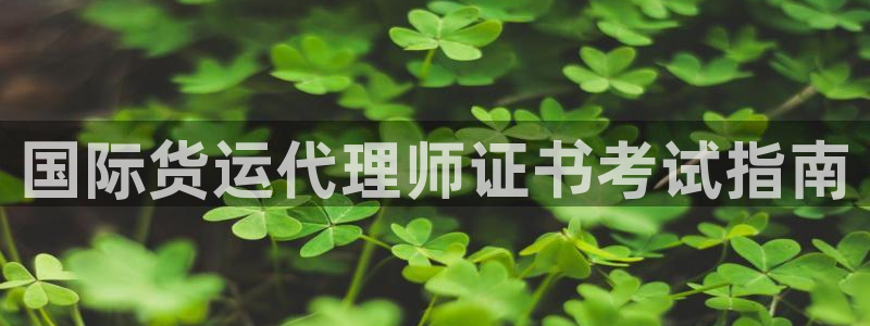 尊龙凯时电竞：国际货运代理师证书考试指南